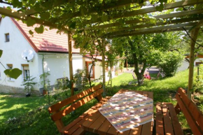 Гостиница Ferienhaus Koller  Гюссинг